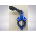 Butterfly Valve with Worm Gear Box